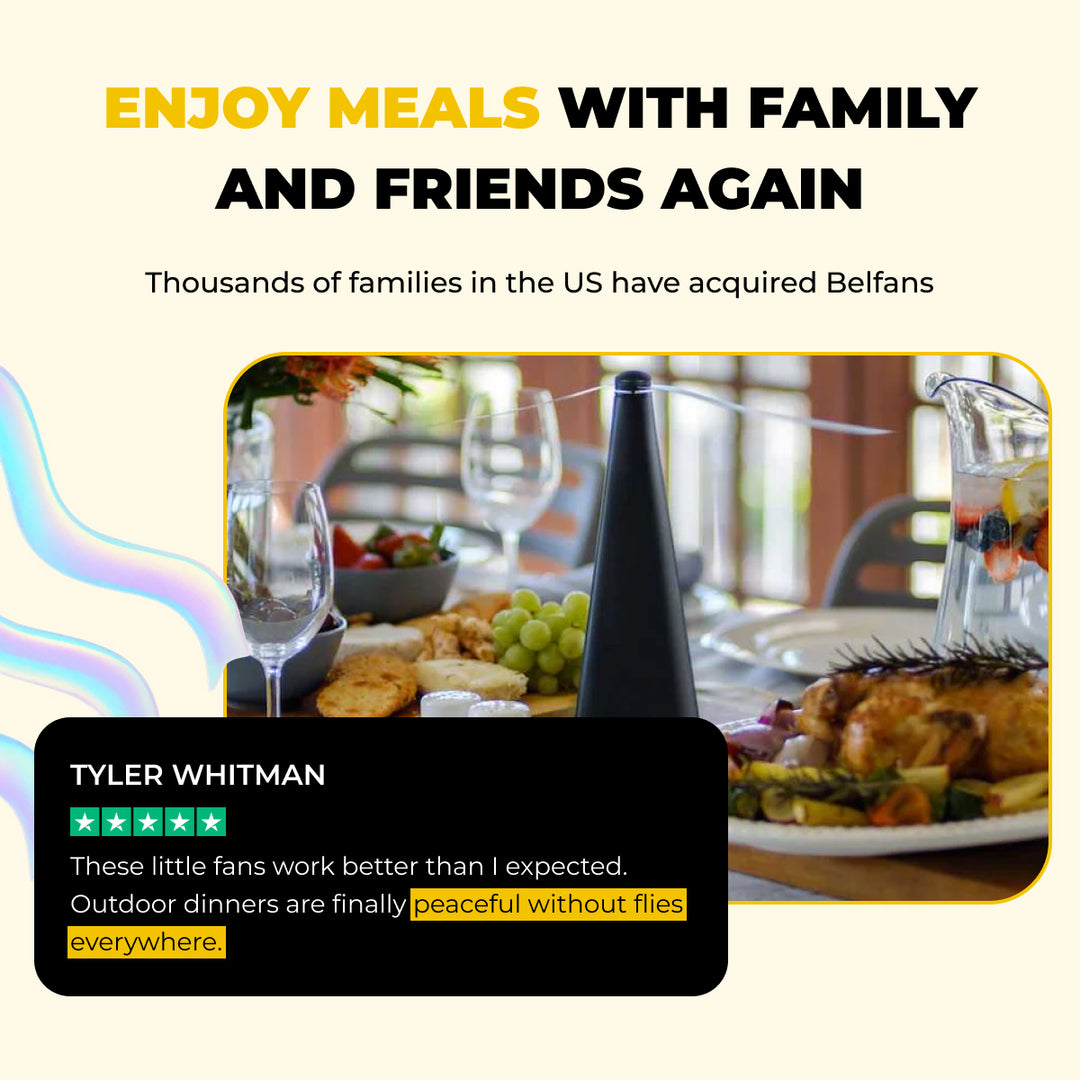 2-in-1 LIGHTED FLY/BUG REPELLENT FAN