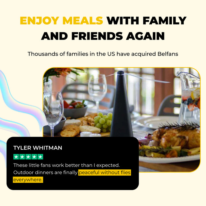 2-in-1 LIGHTED FLY/BUG REPELLENT FAN