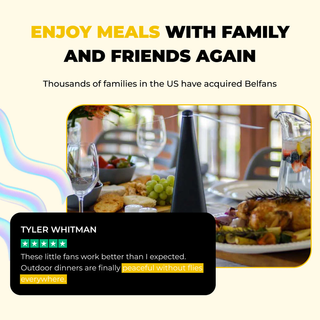 FLY/BUG REPELLENT FAN