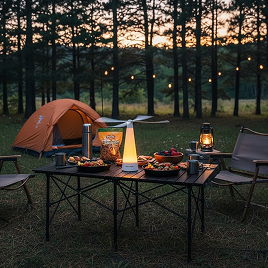 Camping trips & picnics